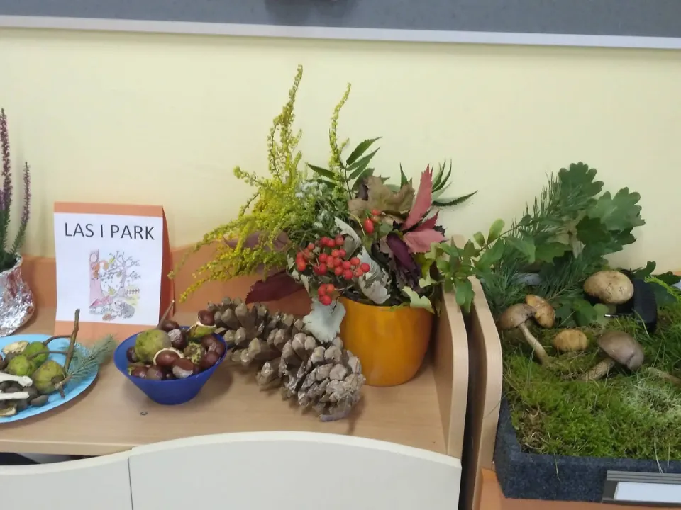kącik — zdjęcie 7