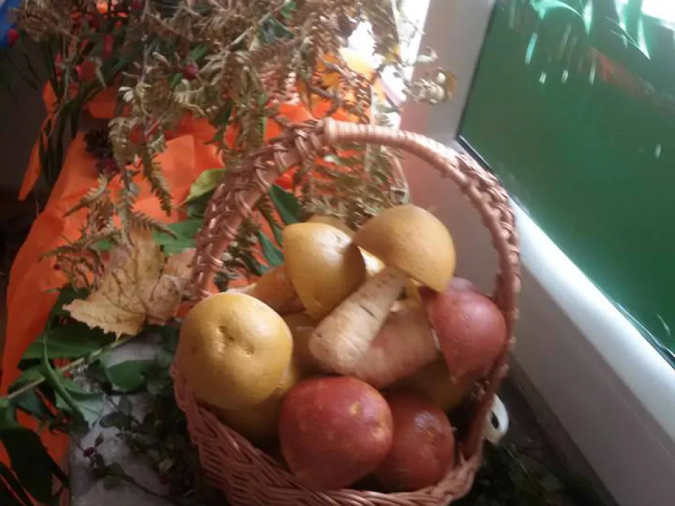 Zajęcia plastyczne - Biedronki — zdjęcie 3