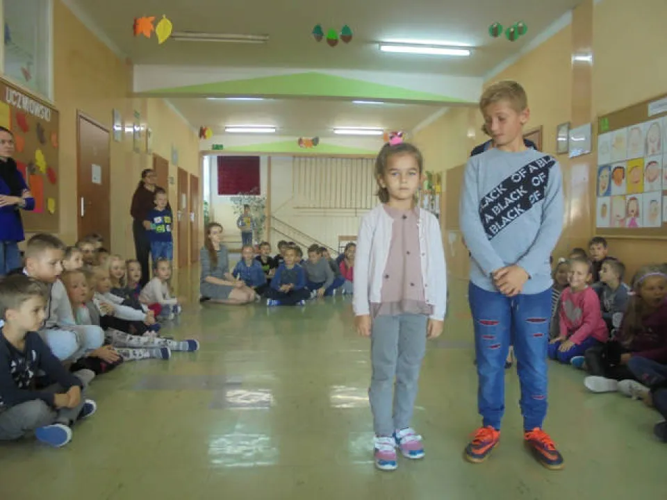 apel — zdjęcie 14