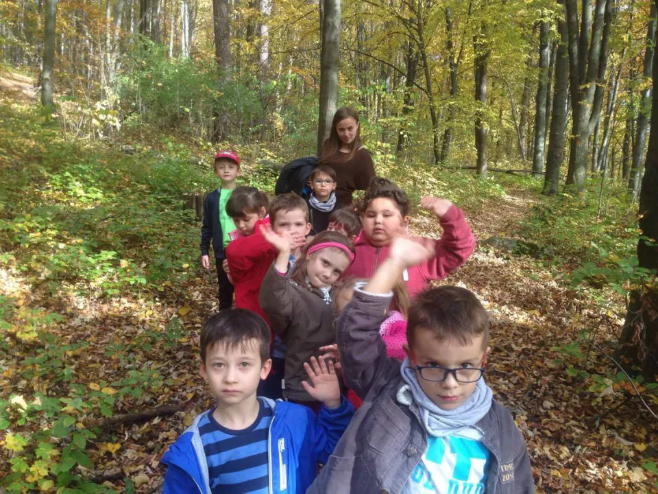 Wycieczka do lasu — zdjęcie 3