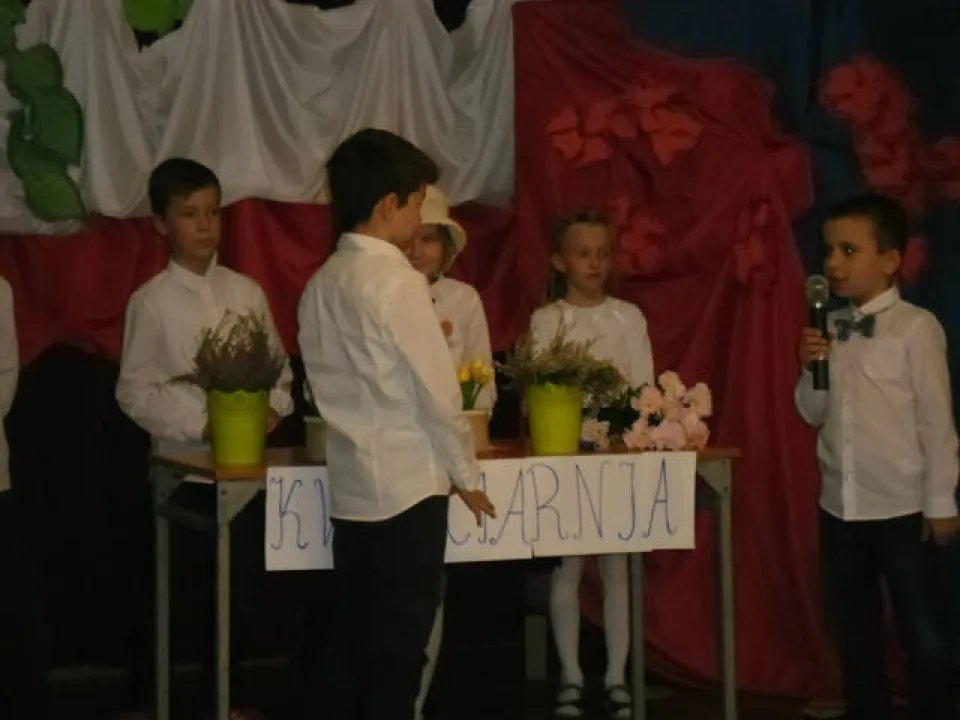 apel — zdjęcie 14