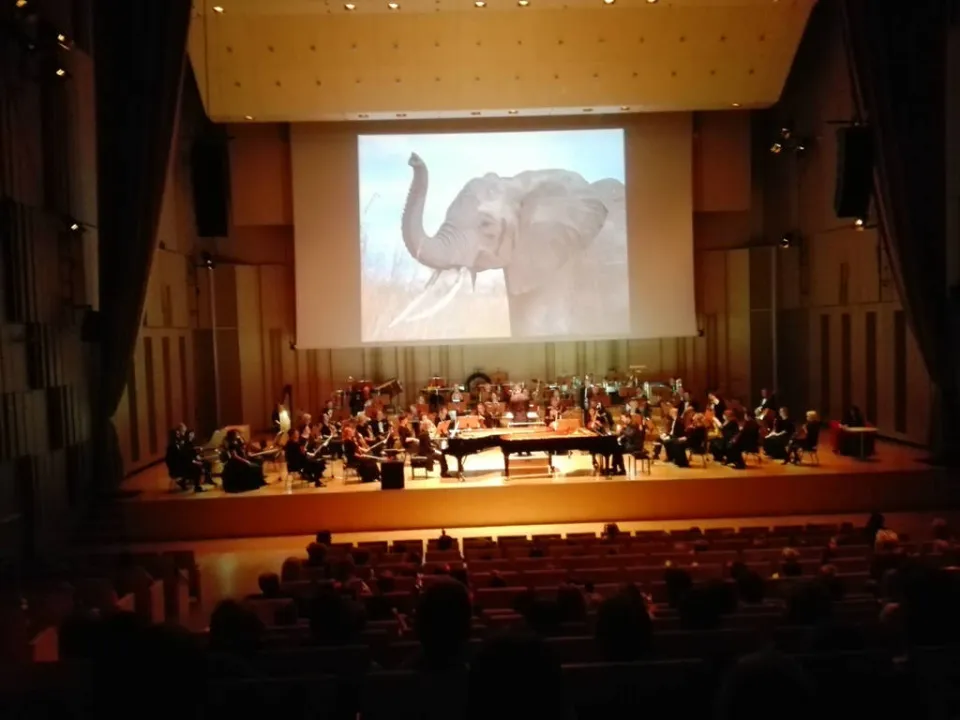 4c w filharmonii — zdjęcie 5