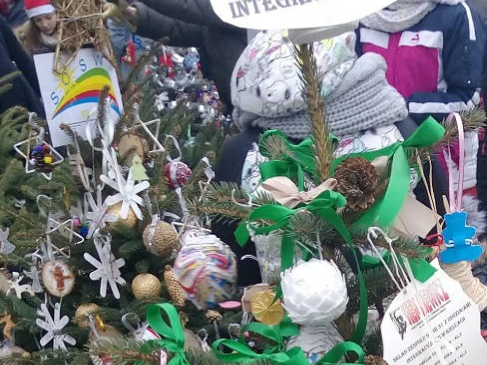 Zwycięska choinka — zdjęcie 4