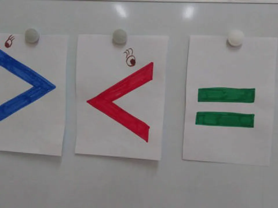 Nauka matematyki u Delfinów — zdjęcie 6