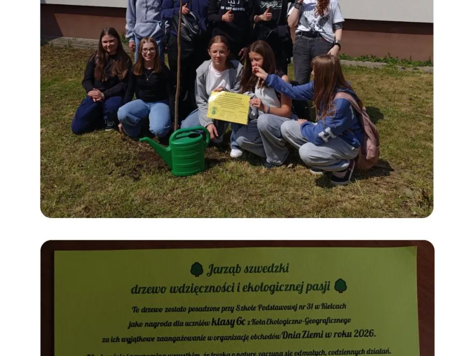 Jarząb szwedzki – drzewo wdzięczności i ekologicznej pasji — zdjęcie 6