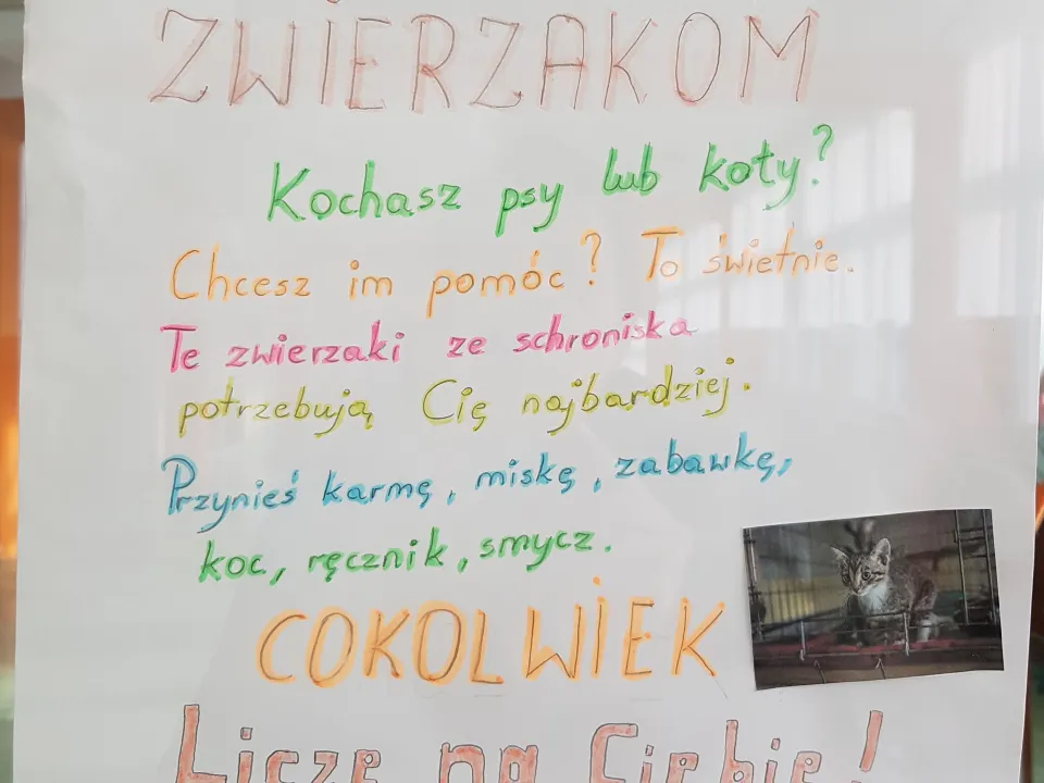 Pomóż zwierzakom — zdjęcie 4