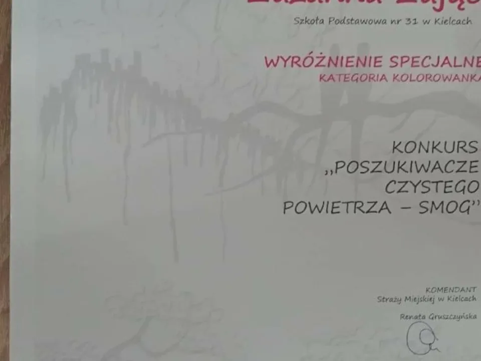 Poszukiwacze zdrowego powietrza- smog