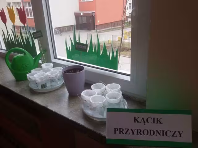 Wiosenna hodowla u Biedronek — zdjęcie 1