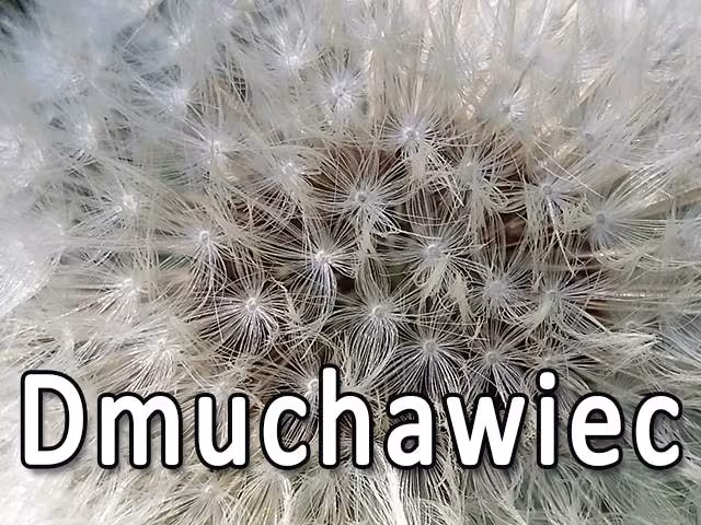 Co to jest - konkurs — zdjęcie 1