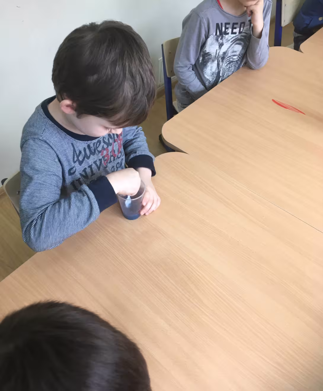 Delfiny eksperymentują — zdjęcie 1