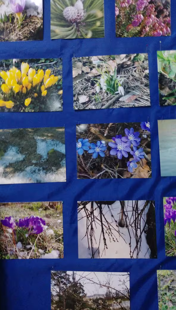 Konkurs fotograficzny — zdjęcie 1