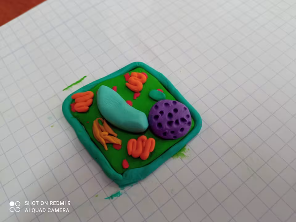 Lekcja biologii — zdjęcie 1
