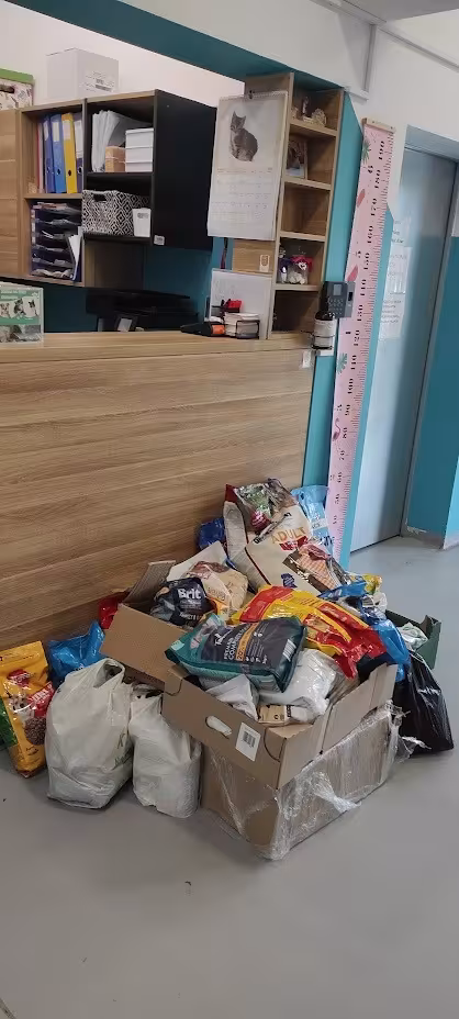 PODZIĘKOWANIE ZA ZBIÓRKĘ KARMY DLA ZWIERZĄT ZE SCHRONISKA — zdjęcie 1