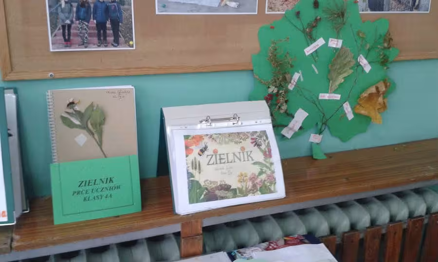 Zielnik — zdjęcie 1