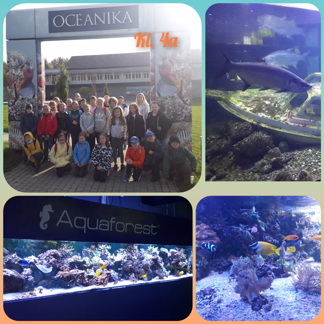Akwarium Oceanika
