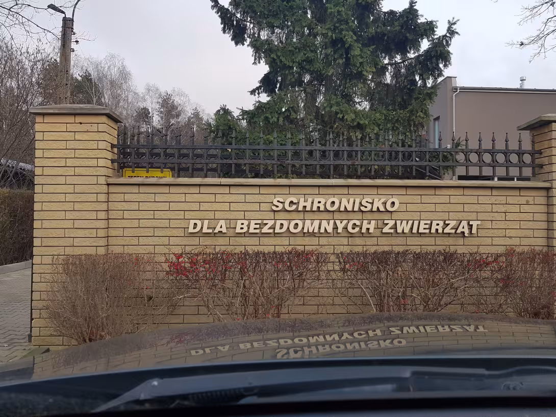 Pomóż zwierzakom